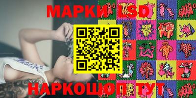 шишки Славгород