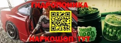 хмурый Сланцы