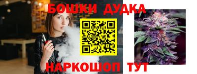 шишки Славгород