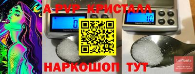 шишки Славгород