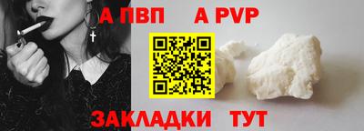 шишки Славгород