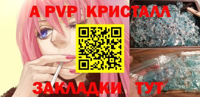 шишки Славгород
