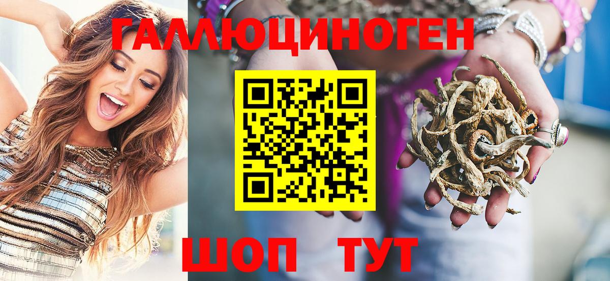 Нягань  Галлюциногенные грибы Psilocybine cubensis  Вход с VPN 